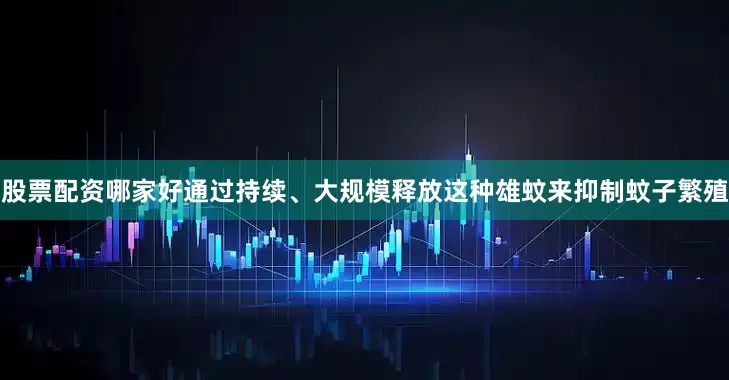 股票配资哪家好通过持续、大规模释放这种雄蚊来抑制蚊子繁殖