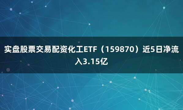 实盘股票交易配资化工ETF（159870）近5日净流入3.15亿