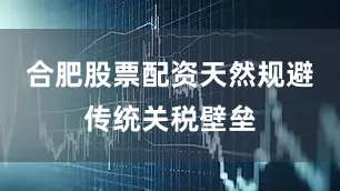 合肥股票配资天然规避传统关税壁垒