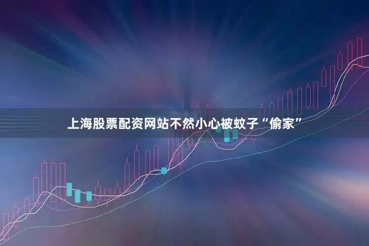 上海股票配资网站不然小心被蚊子“偷家”