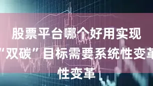股票平台哪个好用实现“双碳”目标需要系统性变革